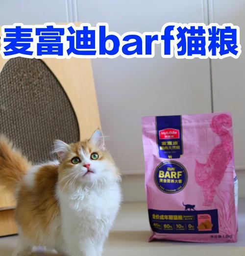 猫咪为何对肉感兴趣却拒绝猫粮？