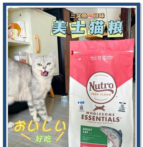 三脚猫的特殊饮食需求是什么？推荐哪种猫粮？