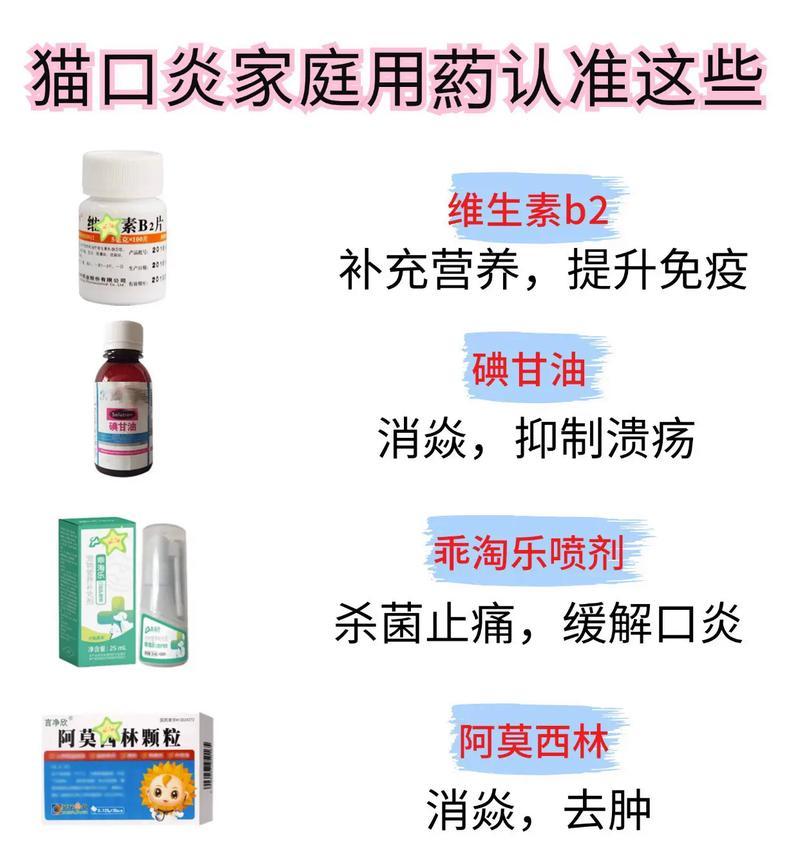 猫粮导致嘴巴疼应该吃什么药？