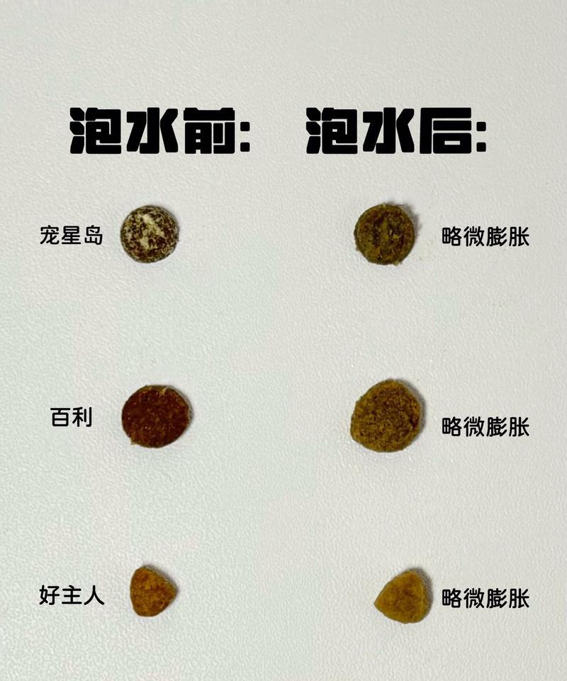 哪种茶叶与猫粮口感相似？