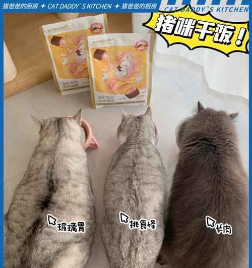 泡芙猫粮混合搭配有哪些推荐？