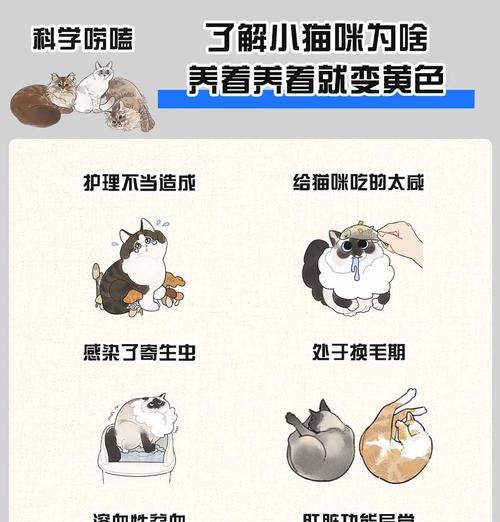 猫粮过咸会影响猫咪毛色吗？毛色变化的原因是什么？