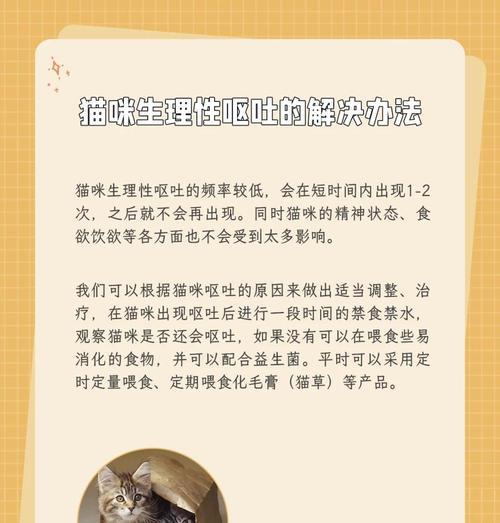 猫咪吃了猫粮呕吐怎么办？如何安全更换猫粮？