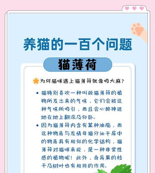 在猫粮中添加猫薄荷会有什么效果？