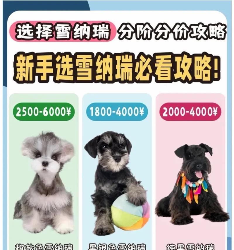 雪纳瑞进入航空箱需要多少钱？购买时应注意什么？