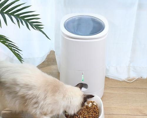 自动喂食猫粮的设置方法是什么？如何确保猫咪按时进食？