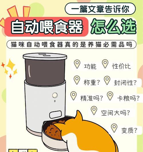 自动喂食猫粮的设置方法是什么？如何确保猫咪按时进食？