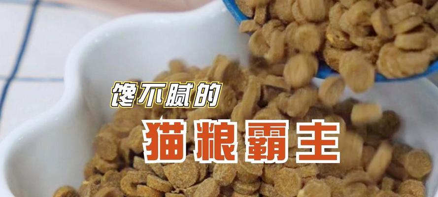 猫粮被猫套洞了应该怎么办？