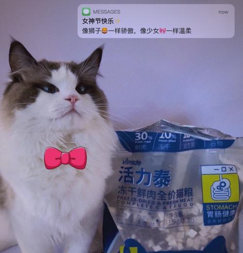 猫粮被猫套洞了应该怎么办？