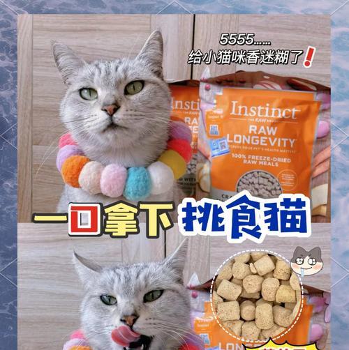 猫粮中的冻干相当于人类的哪种食物？冻干对猫咪有何益处？