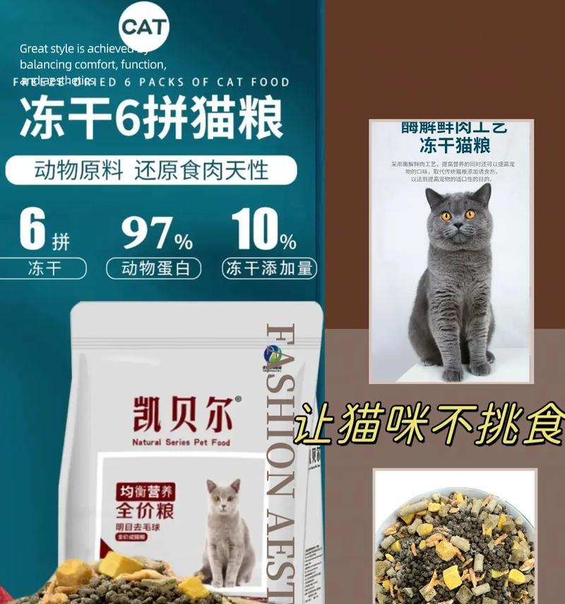 猫粮中的冻干相当于人类的哪种食物？冻干对猫咪有何益处？