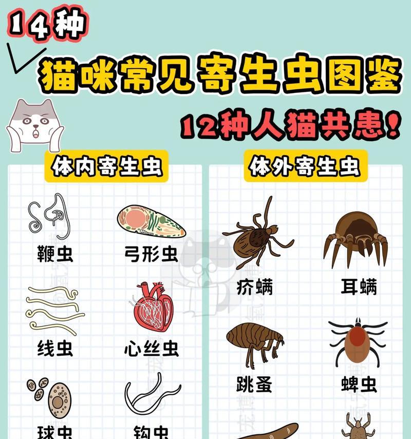 猫粮中常见的虫子有哪些种类？