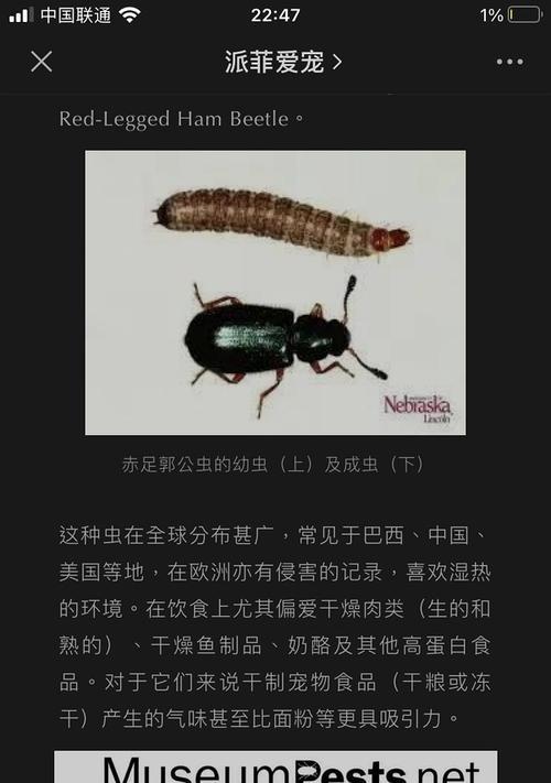 猫粮中常见的虫子有哪些种类？