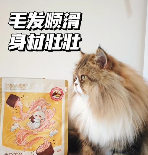 网红猫王泡芙所吃的猫粮是否适合普通猫咪？