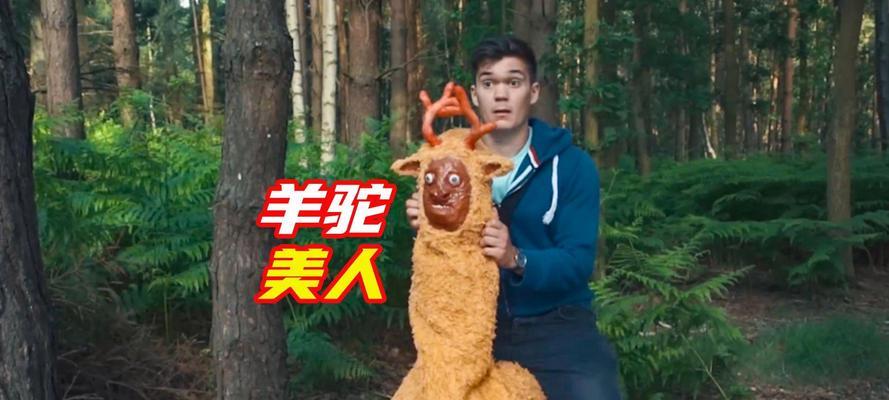 羊驼可以骑吗？如何正确骑羊驼？