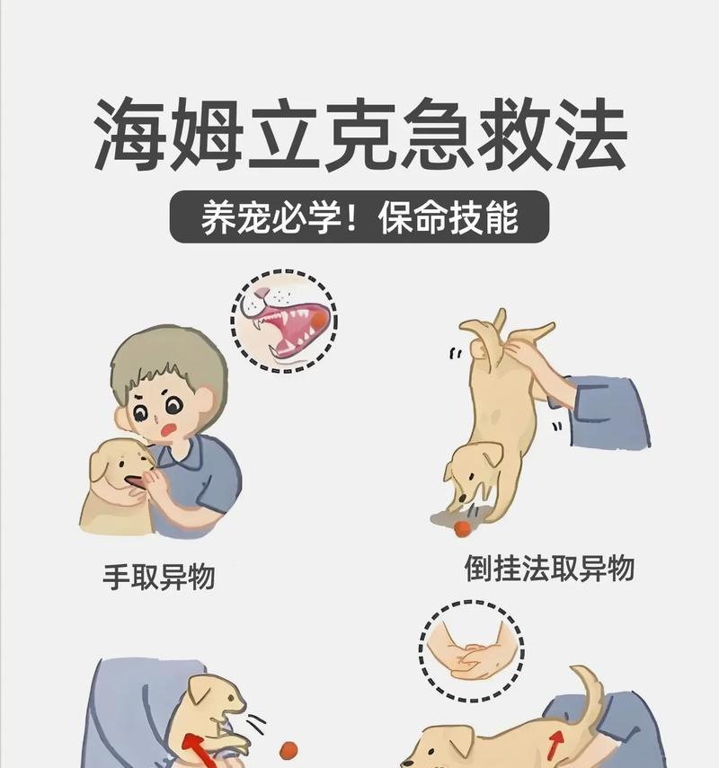 猫咪吃猫粮呛到怎么办？有哪些急救措施？