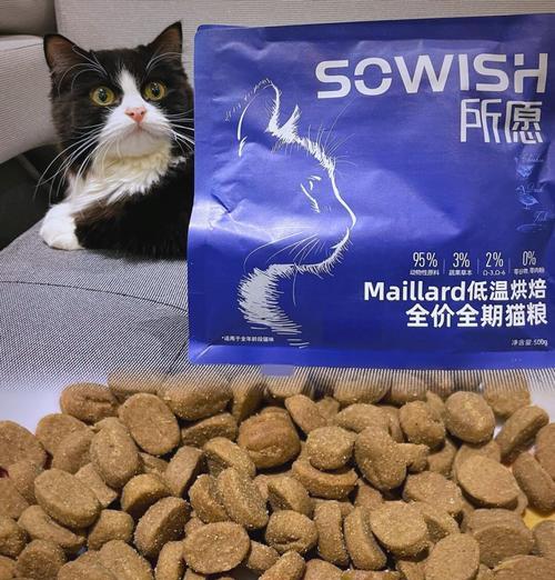 长毛猫一般吃什么猫粮？长毛猫的饮食需求有哪些？