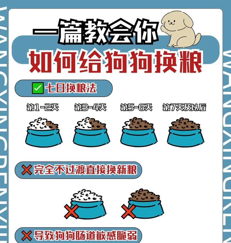大狗饭盆防漏粮的安装步骤是什么？