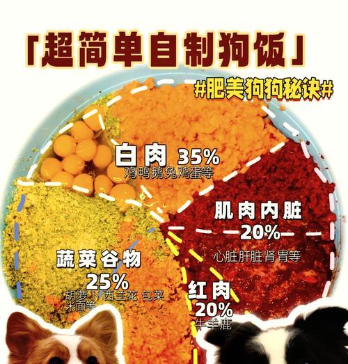 大狗饭盆防漏粮的安装步骤是什么？