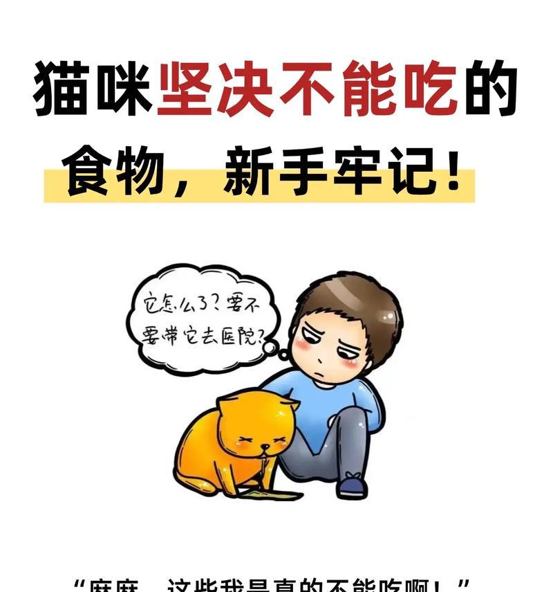 猫咪为何既不爱吃猫粮也不爱吃猫条？