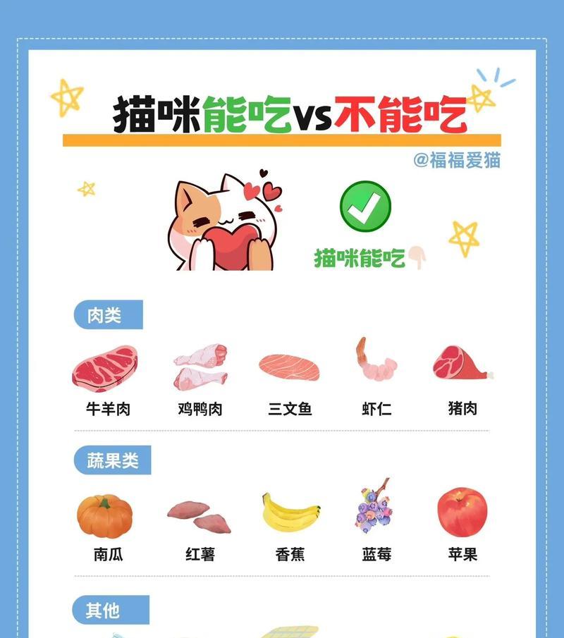 小猫只能吃猫粮吗？小猫饮食的正确选择是什么？