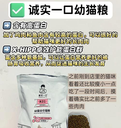 弃养猫时是否应留下猫粮？