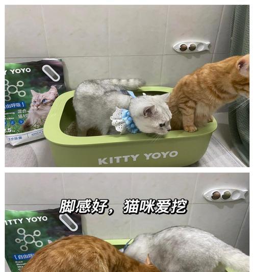 猫把猫粮泼到猫砂盆里会有什么后果？如何防止猫这样做？