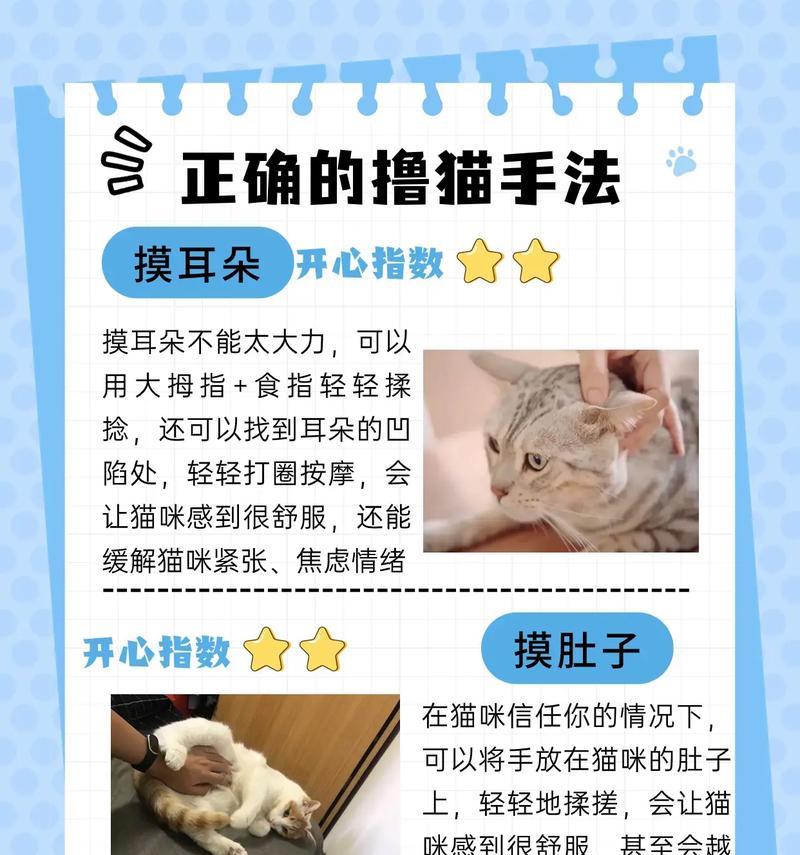 如何让猫咪停止吃猫粮？