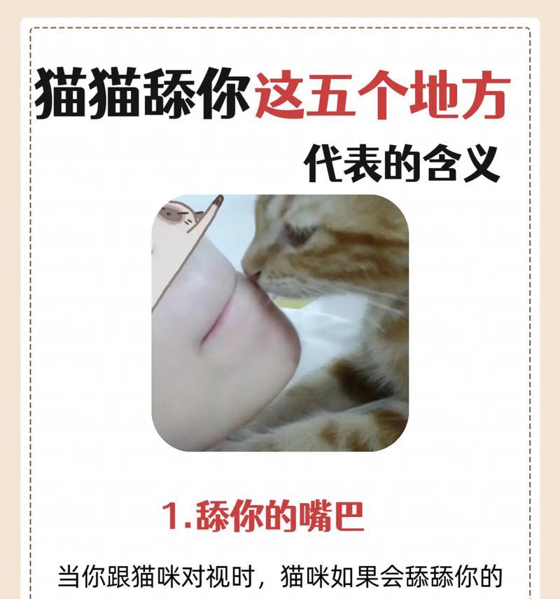 猫咪吃猫粮时舔嘴巴的原因是什么？