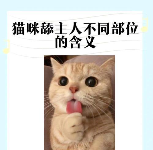 猫咪吃猫粮时舔嘴巴的原因是什么？