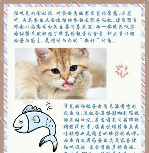 偷玩猫粮的女孩名字是什么？