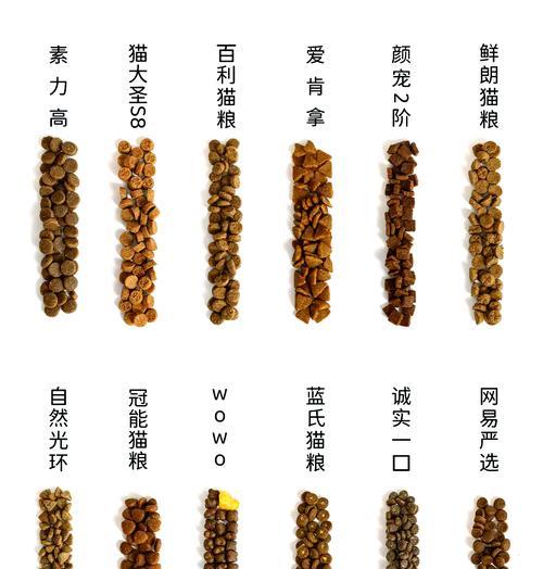 猫粮吃起来发酸是什么原因？如何避免？