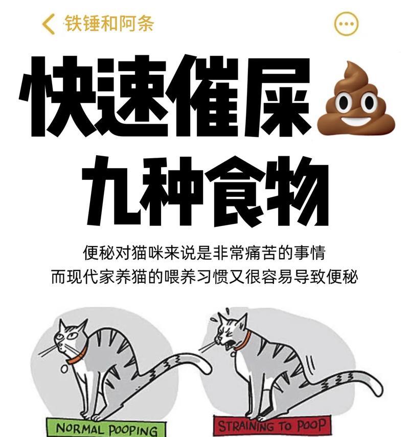 如何让猫咪吃猫粮后不出现便秘？