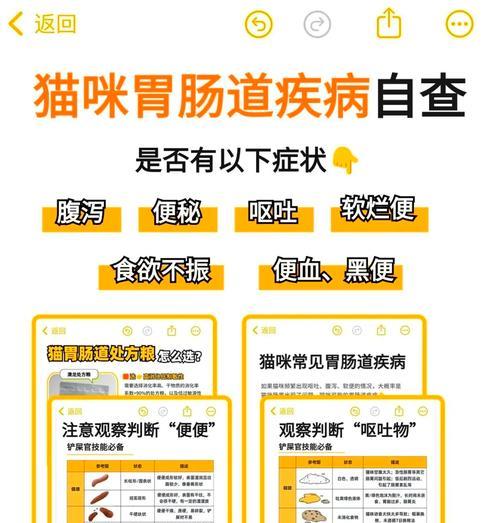 如何让猫咪吃猫粮后不出现便秘？