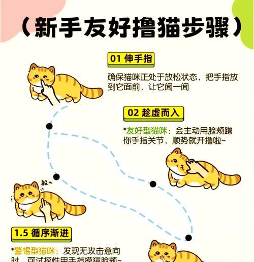 猫咪为何会用手掏猫粮？这种行为是否正常？