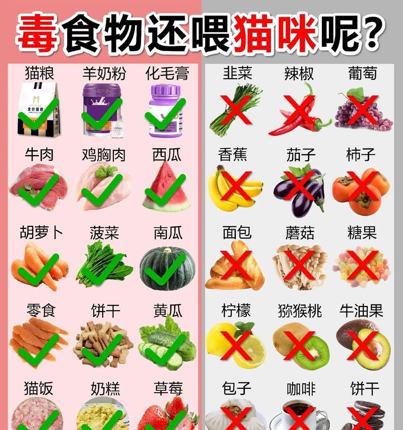 除了猫粮外猫咪还能食用哪些食物？