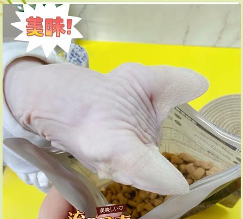 除了猫粮外猫咪还能食用哪些食物？