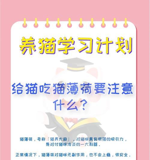 猫舔猫薄荷不吃猫粮了怎么办？如何恢复它的正常饮食？