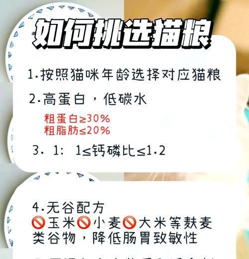 猫粮中含有大米小麦怎么办？会影响猫咪健康吗？