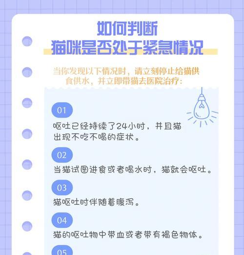 猫咪吐食后躲藏的原因是什么？如何处理？