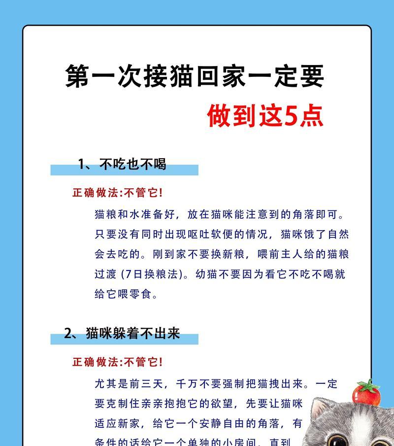 倒猫粮声音大影响猫咪怎么办？
