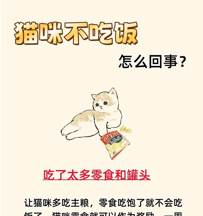 猫晚上不进食猫粮是什么原因？