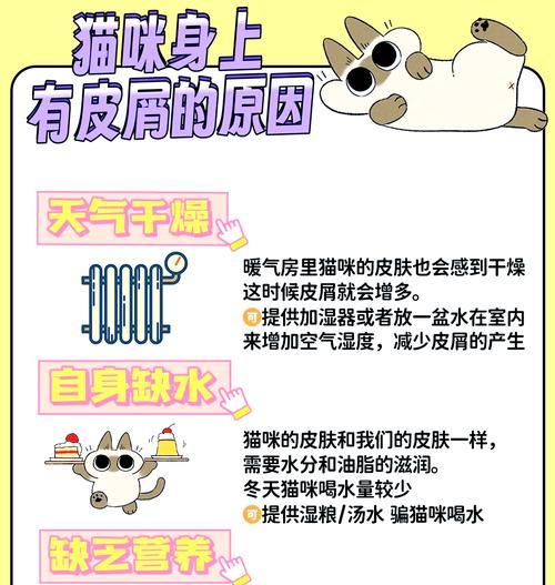 田园猫吃猫粮掉皮是什么原因？