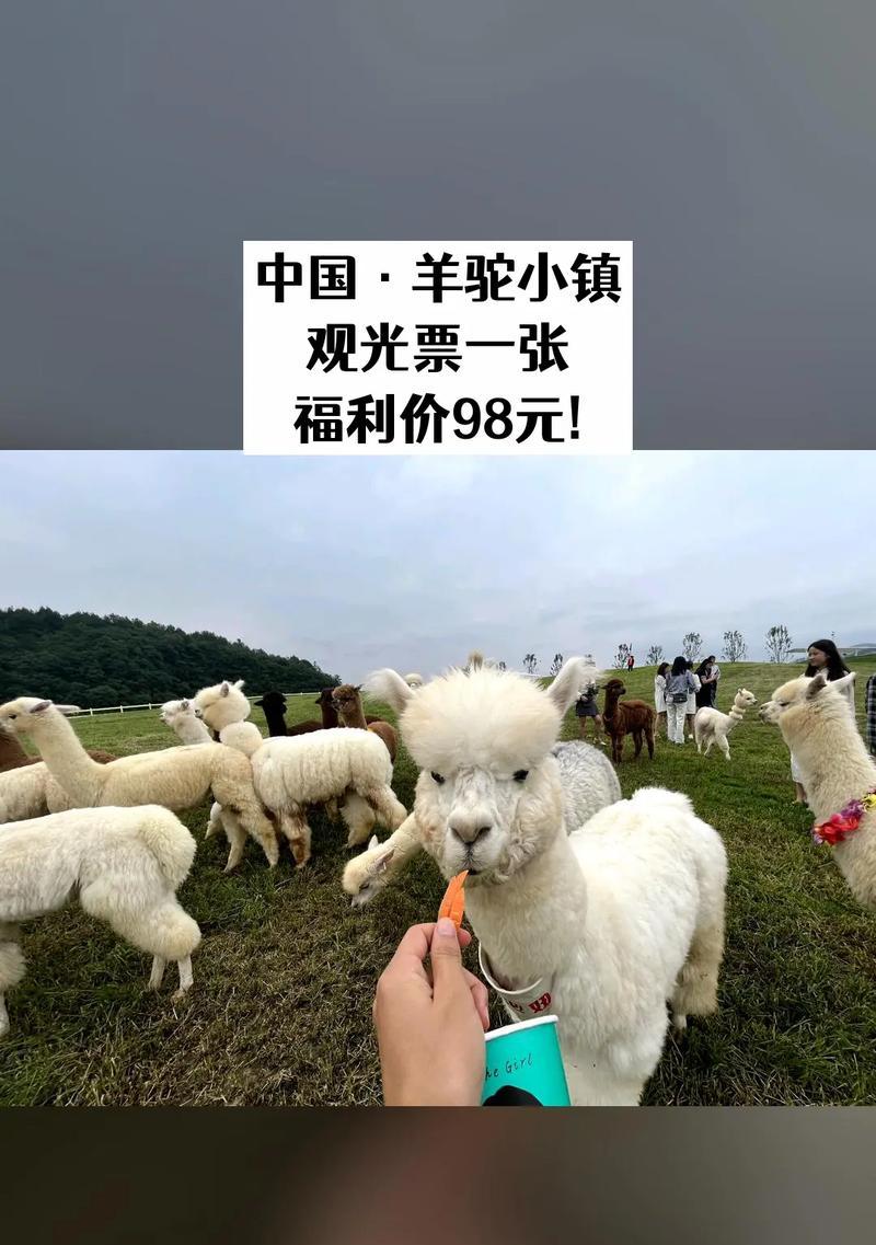 羊驼小镇的门票如何购买？有哪些购票途径？