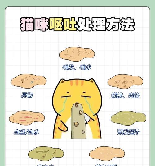 猫呕吐不吃猫粮且不排便的解决方法？