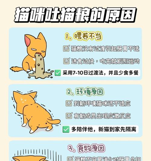 猫呕吐不吃猫粮且不排便的解决方法？