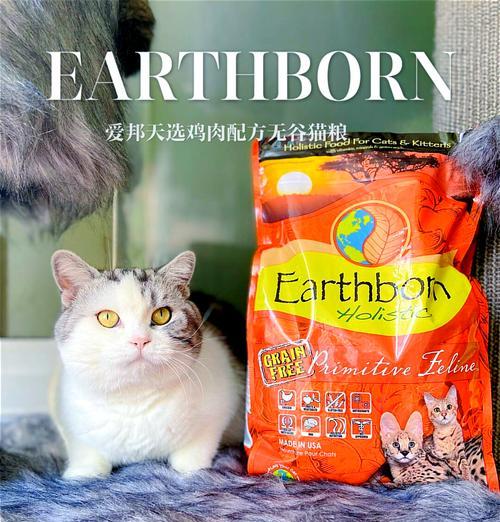 仅食用猫粮的哺乳期猫咪会怎样？会影响健康吗？