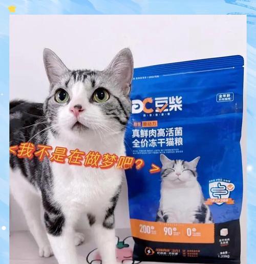 仅食用猫粮的哺乳期猫咪会怎样？会影响健康吗？