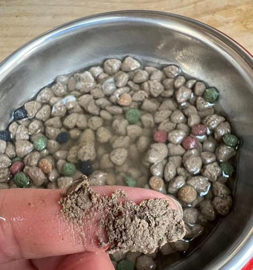 猫粮咸了发苦正常吗为什么？猫粮的口感问题是否影响健康？