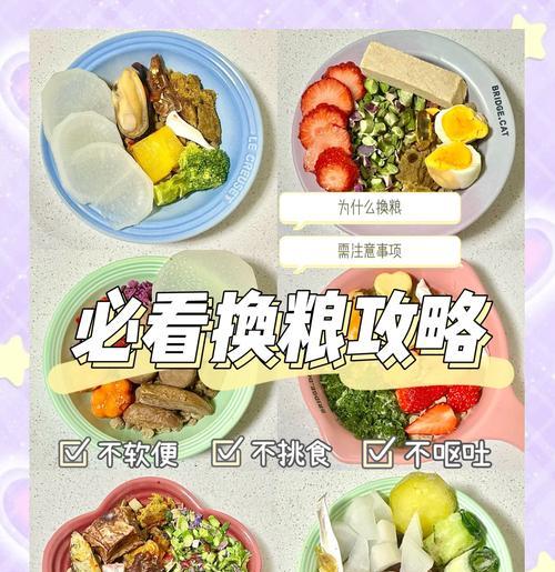 狗狗换粮期应该怎么吃？换粮期需要注意什么？